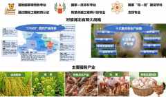  持续三年为环卫工