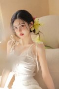 度法律查抄打算